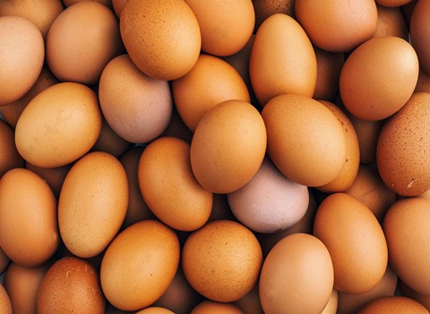 خرید و فروش تخم مرغ محلی ارگانیک با شرایط فوق العاده